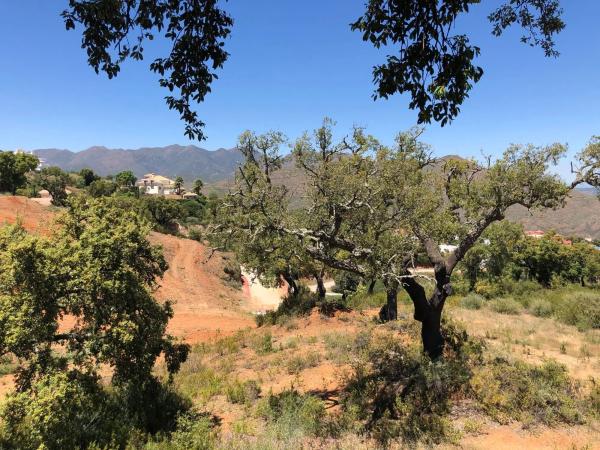 Terreno en calle Cantabria s/n