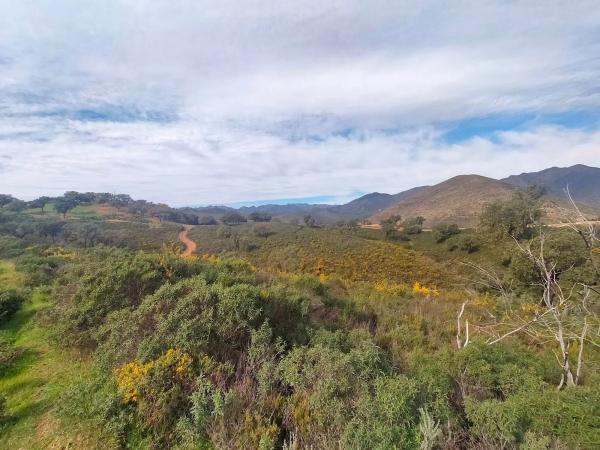 Terreno en Arrabal S. 9 la Mairena, 5