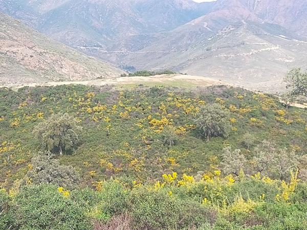 Terreno en Arrabal S. 9 la Mairena, 5