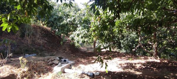 Terreno en Diseminado Diseminados