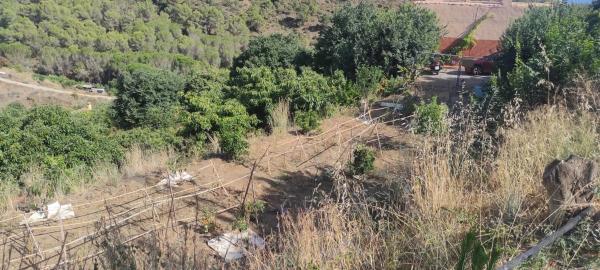 Terreno en Diseminado Diseminados