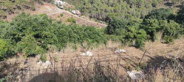 Terreno en Diseminado Diseminados