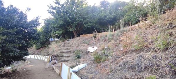 Terreno en Diseminado Diseminados