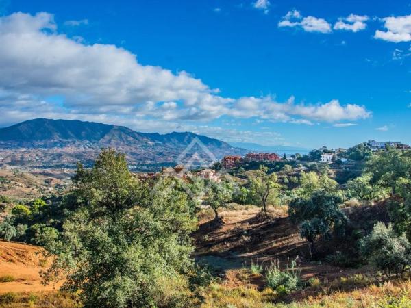 Terreno en calle Pais Vasco