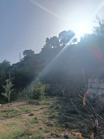 Terreno en A-355 s/n