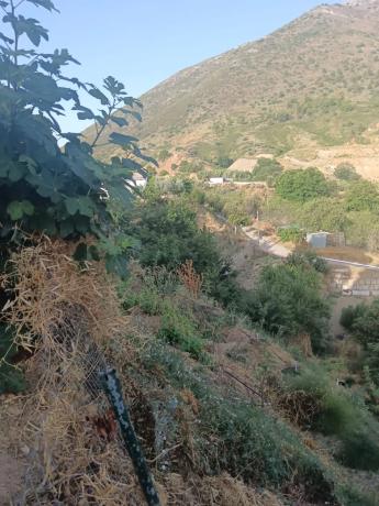 Terreno en A-355 s/n