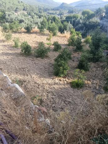 Terreno en A-355 s/n