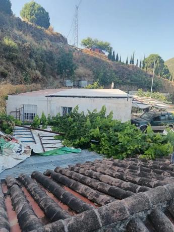 Terreno en A-355 s/n