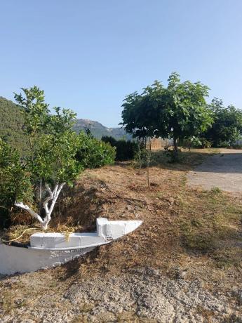 Terreno en A-355 s/n