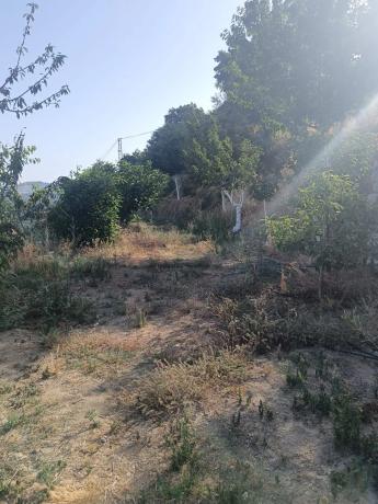 Terreno en A-355 s/n