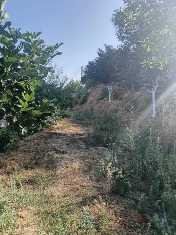 Terreno en A-355 s/n