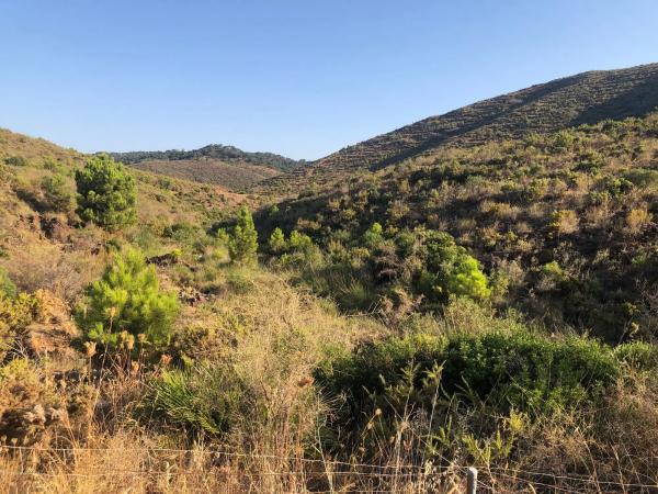 Terreno en Diseminados, 406