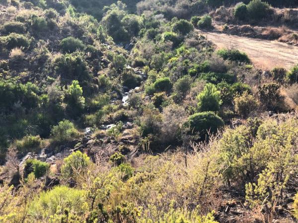 Terreno en Diseminados, 406