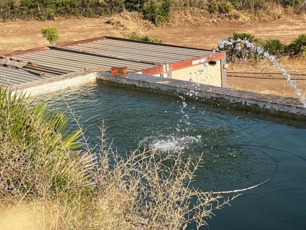 Terreno en Diseminados, 406