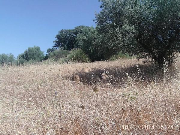 Terreno en Alcaucín