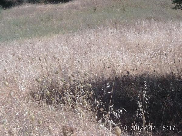 Terreno en Alcaucín