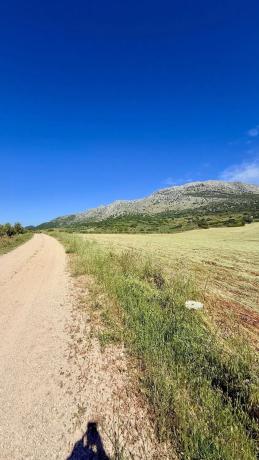 Terreno en Xpf7+vp Alfarnatejo, Spain