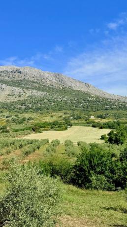 Terreno en Xpf7+vp Alfarnatejo, Spain