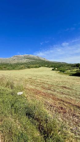 Terreno en Xpf7+vp Alfarnatejo, Spain