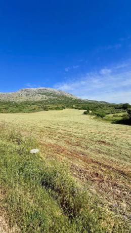 Terreno en Xpf7+vp Alfarnatejo, Spain