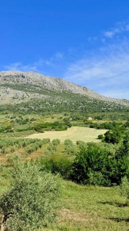 Terreno en Xpf7+vp Alfarnatejo, Spain