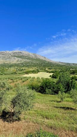 Terreno en Xpf7+vp Alfarnatejo, Spain
