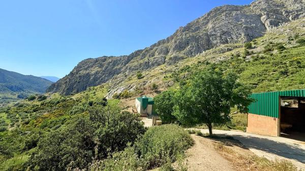 Terreno en calle las Rosas, 11