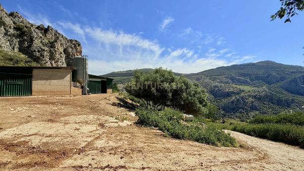 Terreno en calle las Rosas, 11
