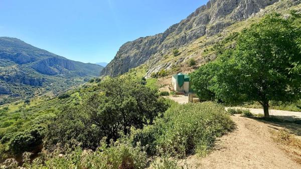 Terreno en calle las Rosas, 11