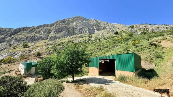 Terreno en calle las Rosas, 11