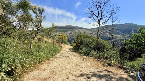 Terreno en calle las Rosas, 11