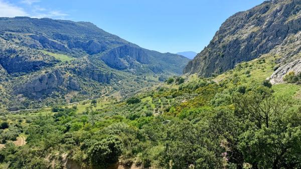 Terreno en calle las Rosas, 11