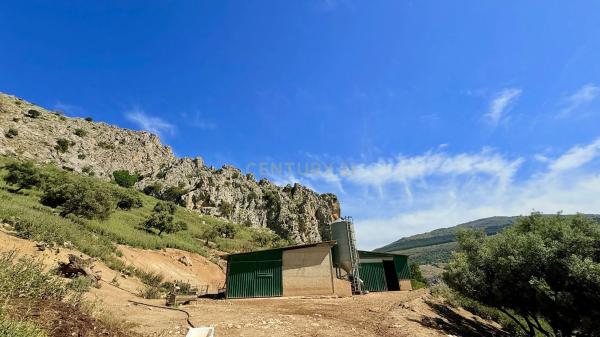 Terreno en calle las Rosas, 11
