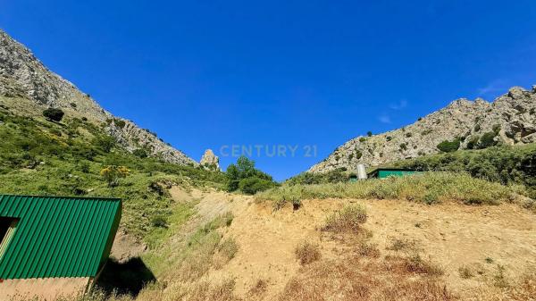 Terreno en calle las Rosas, 11
