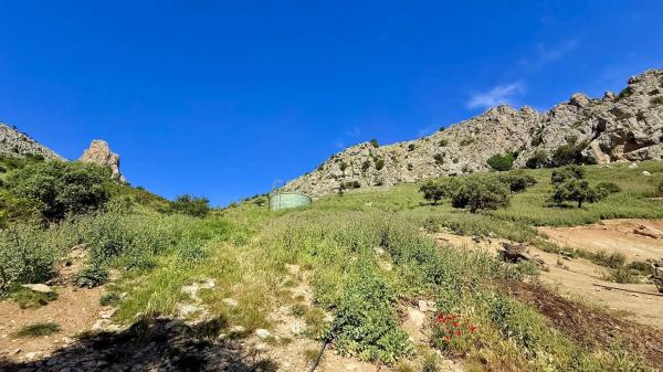 Terreno en calle las Rosas, 11