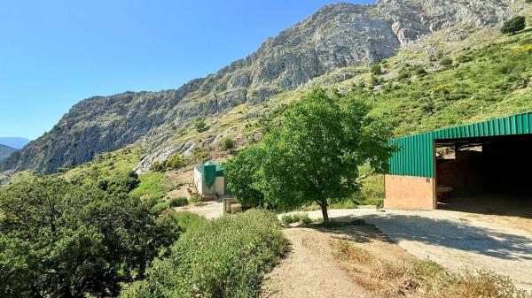 Terreno en calle las Rosas, 11