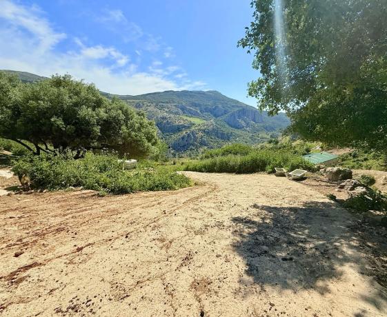 Terreno en calle las Rosas, 11