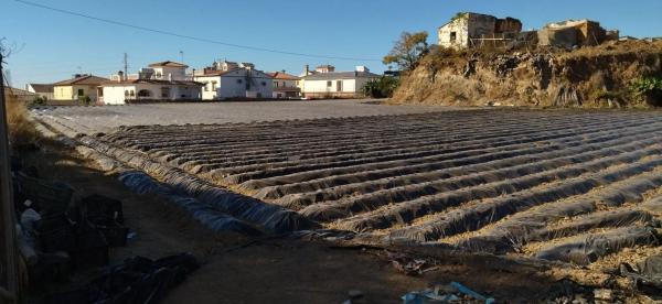 Terreno en Bda. Trayamar, km 1