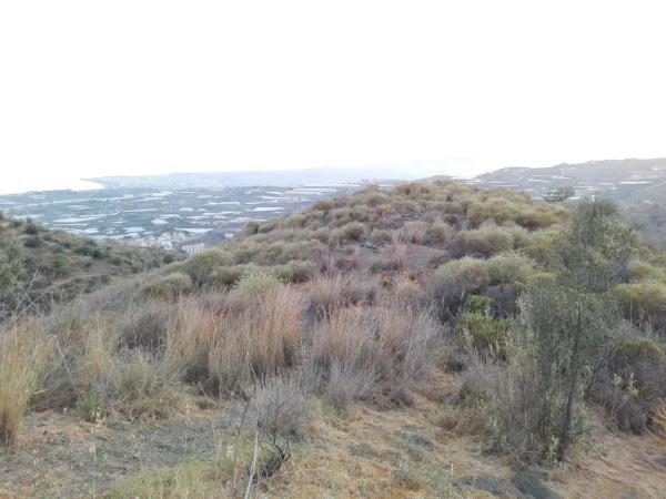 Terreno en via salida algarrobo a competa, 1