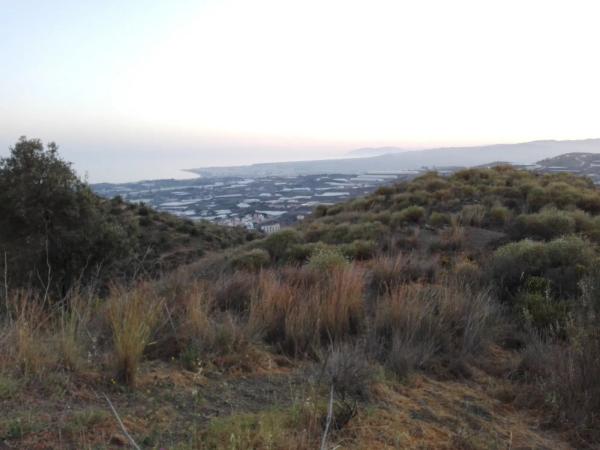 Terreno en via salida algarrobo a competa, 1