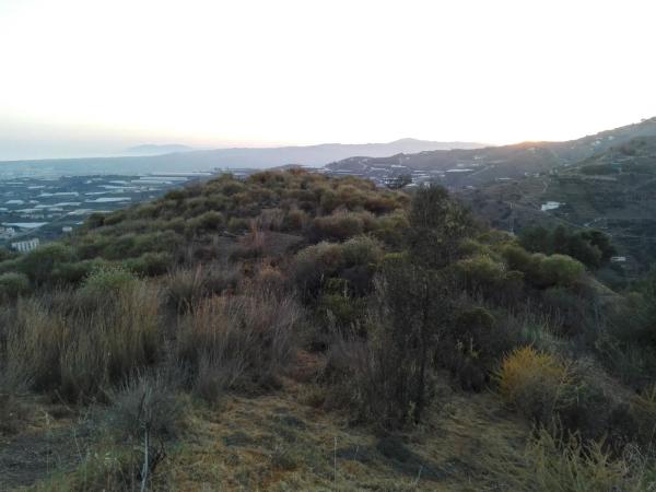 Terreno en via salida algarrobo a competa, 1
