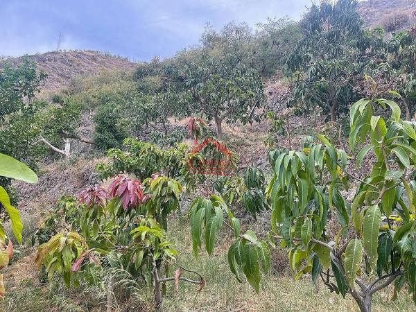 Terreno en Algarrobo