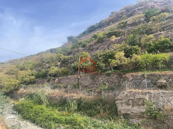 Terreno en Algarrobo