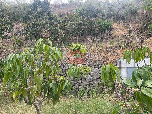 Terreno en Algarrobo