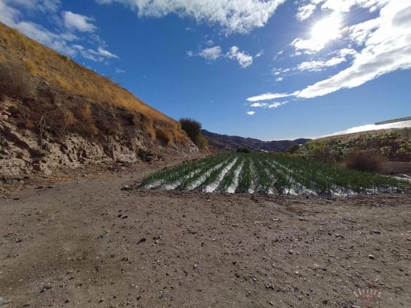 Terreno en Algarrobo