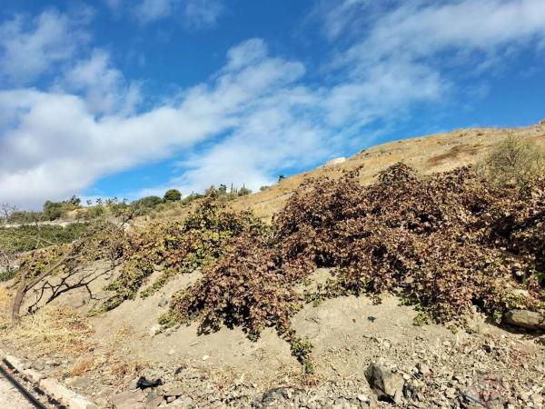 Terreno en Algarrobo