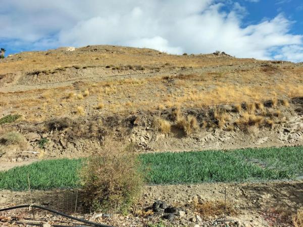 Terreno en Algarrobo