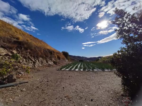 Terreno en Algarrobo