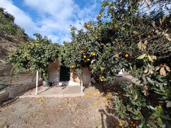 Terreno en Algarrobo