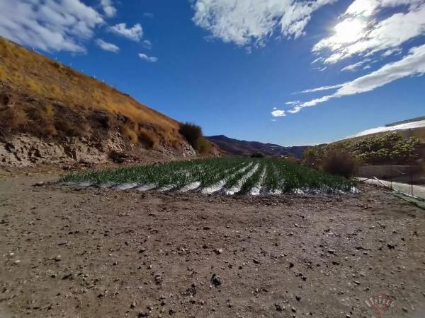 Terreno en Algarrobo
